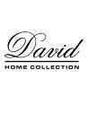 DAVID home